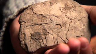 Treasures of the UCLA Library Cuneiform Tablets Part 3 of 5 [upl. by Ispep]