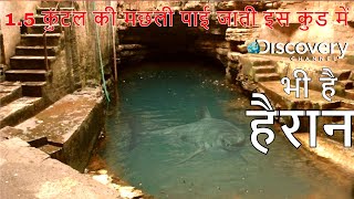 भीमकुण्ड का रहस्य  Mystery of Bhimkund Chhatarpur in Madhya Pradeshs [upl. by Helms]