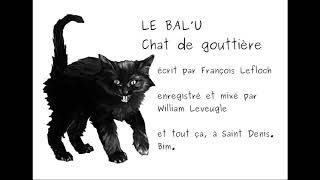 Chat de gouttière par le BalU [upl. by Ot111]