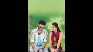 Tune Bate Kholi Kache Dhage Me Piroli Song Lyrics Arijit Singh Love song💗 [upl. by Yllet116]