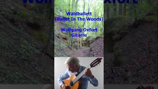 Waldballett  Wolfgang Oxfort short guitar musik music [upl. by Merci]