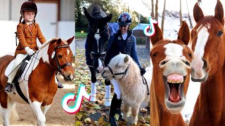 The Cutest HORSES  Equestrian TikTok Compilation 51 [upl. by Lachman270]