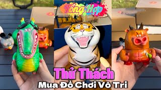 Tổng Hợp Thử Thách Mua Đồ Chơi Vô Tri Tập 12345 Hay Nhất  Quỳnh Vịt [upl. by Dloreg780]