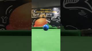 Billiard Table Snooker Table overview blackpot [upl. by Tecla]