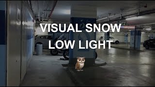 VISUAL SNOW Simulation  Low Light  What I see during daytime static tinnitus visual disturbance [upl. by Nahtan]