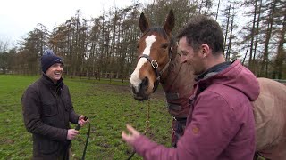 Fantastic stores about Faugheen  Ruby and Patrick Mullins go and see an old friend in retirement [upl. by Rennerb]