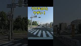 【ドラレコ】ク〇なＶＯＸＹ！急ブレーキ掛けるなよ！ [upl. by Aksehcnarf]