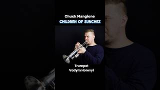 Chuck Mangione Children of Sanchez trumpet cover trumpetsolo trumpette childrenofsanchez jazz [upl. by Aicilyt652]