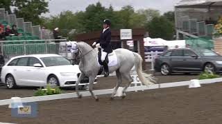 British Dressage Nationals 2013 Elementary Restricted Charlotte Gilder and Strathmore Apollo [upl. by Charyl]