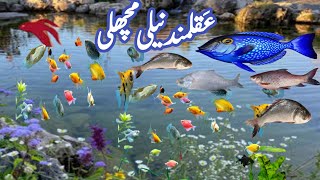 Aqalmand Neeli Machhli  How Did The Blue Fish Save Its Life  Story Of Fish [upl. by Fianna74]