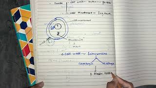 Anti Fungal part 1 chemopharma pharmacology katzung lippincot [upl. by Snodgrass]