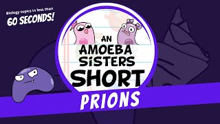 Prions  Amoeba Sisters Shorts [upl. by Ire277]