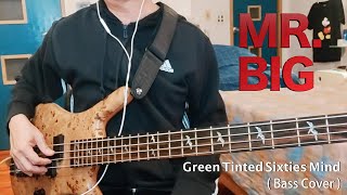 Mr Big  Green Tinted Sixties Mind  Bass Cover  by Tom  4strings [upl. by Ayotahs]