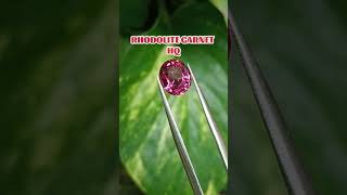 RHODOLITE GARNET HQ rhodolitegarnetgarnetklikpermatabatupermatanaturalgemspasarrawabening [upl. by Halimaj]