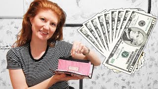 The Best Cash Envelope System Wallet  THRIFTY ZIPPER  Alternative to Dave Ramsey Envelope System [upl. by Venetis]