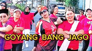 GOYANG BANG JAGO BY TIAN STORM X EVER SLKRSENAM KREASI [upl. by Cristina160]