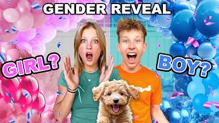 Puppy Gender Reveal So CUTE [upl. by Arrik]