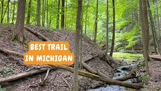 Hike the Beech Maple Trail at the Kalamazoo Nature Center in Michigan [upl. by Sera207]