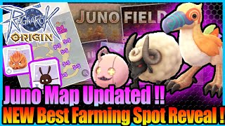 New Juno Best Farm Spot amp EZ Purple Card Spot Ragnarok Origin Global [upl. by Innoc255]