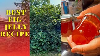 Best Tasting Jelly Ever  How to Make Fig Jelly  Easy Recipe [upl. by Avivah390]