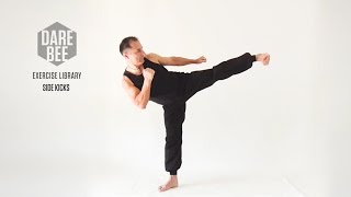 Exercise Library Side Kicks [upl. by Dera]