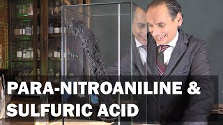 Nitroaniline and Sulfuric Acid [upl. by Katie49]