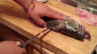 How to fillet a Largemouth Bass [upl. by Aerehs]