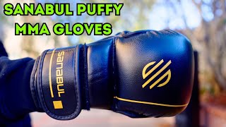 SANABUL MMA GLOVES REVIEW 🥊🔥 [upl. by Atnauq392]