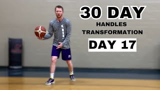 DAY 17  30 DAY HANDLES TRANSFORMATION [upl. by Kenwee]