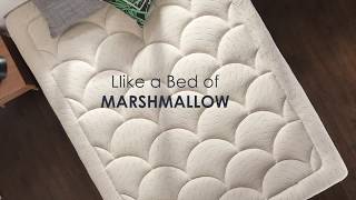 Mellow Home  Super Plush Pillow Top MARSHMALLOW Mattress [upl. by Oironoh]