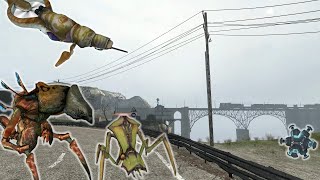 Páření Antlionů  HalfLife 2  4 [upl. by Loesceke]