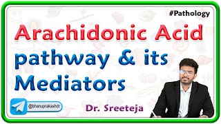 4 Arachidonic Acid pathway and its Mediators  Pathology USMLE Step 1 [upl. by Annirac]