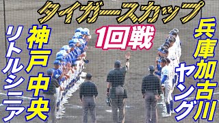 関西最強を決めるタイガースカップ 1回戦！ 神戸中央リトルシニアVS兵庫加古川ヤング [upl. by Nniuq]