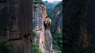 US police rescued an elephant stuck in a rocky mountain [upl. by Kamp]