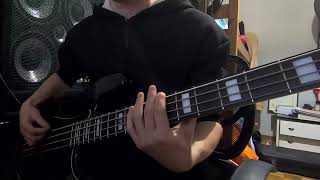 NASKA  Piccolo Bass Cover [upl. by Beetner]