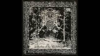 Lord Valtgryftåke Chile — Hordes of the Blackwinds — 2024 EP [upl. by Arik]