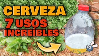 7 USOS de la CERVEZA en tus PLANTAS y Huertos Urbanos 💚 Eliminar la Mosca Blanca de las Plantas [upl. by Alegna551]