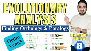 How to find orthologs and paralogs of a protein family using Orthovenn3 [upl. by Dowd731]