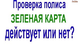 Как проверить действует ваш полис страхования Зеленая карта или нет [upl. by Lacym85]