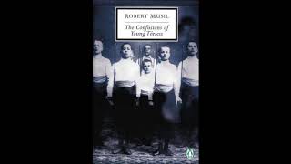 The Confusions Of Young Törless  Robert Musil Audiobook [upl. by Silvers]