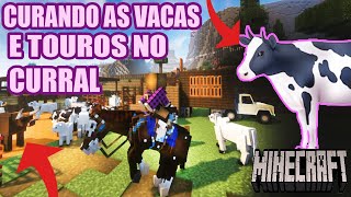 DANDO REMEDIO PARA AS VACAS E TOUROS NO CURRAL 🐴minecraft roleplay parte 140 [upl. by Noirrad238]