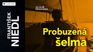 František Niedl  Probuzená šelma  Audiokniha [upl. by Demahum]