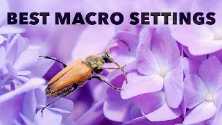 The Best Camera Settings for Macro and CloseUp Photography [upl. by Aryhs]