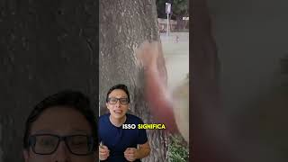 Ossos Fortes 🦴💪 medicina medico enfermagem saude curiosidademedicina curiosidades academia [upl. by Teriann]