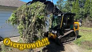 Grading Mounds of Dirt and Trimming Fenceline  Overlooked Backyard Transformation [upl. by Dieterich]