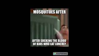 Mosquitos after sucking lunchables memes [upl. by Ecnerual573]