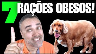 7 MELHORES RAÇÕES cães obesos [upl. by Atiuqehs838]