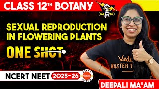 Sexual Reproduction in Flowering Plants Class 12 Biology One Shot  NEET 2025 Botany [upl. by Eenoj150]