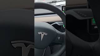 Por dentro do Tesla da auto escola na Noruega noruega tesla carro autoescola [upl. by Colt]