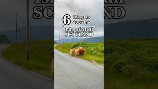 Scotland’s Best Island Isle of Mull is incredible scotlandtravel scotlandvlog scotlandadventures [upl. by Lindy781]